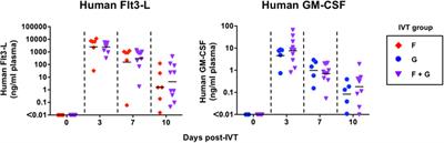 Introduction of Human Flt3-L and GM-CSF into Humanized Mice Enhances the Reconstitution and Maturation of Myeloid Dendritic Cells and the Development of Foxp3+CD4+ T Cells